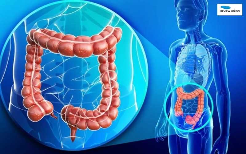 Uống phải nước hồ bơi có sao không? Có hại sức khỏe không? Phản ứng kích ứng tiêu hóa có thể xảy ra nếu uống nhiều nước hồ bơi