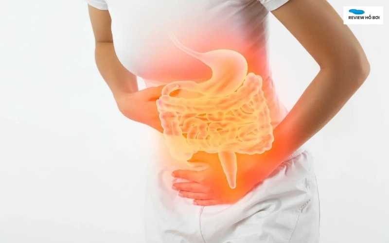Uống phải nước hồ bơi có sao không? Có hại sức khỏe không? Kích ứng đường tiêu hóa là dấu hiệu phổ biến nhất nếu uống nhầm nước hồ bơi số lượng lớn và kéo dài