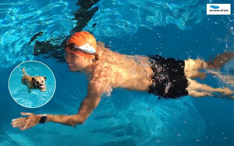 Bơi dáng chó giúp xương khớp chắc khỏe, dẻo dai