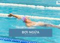 Kỹ thuật bơi ngửa chuẩn cho người mới: Hướng dẫn chi tiết A–Z