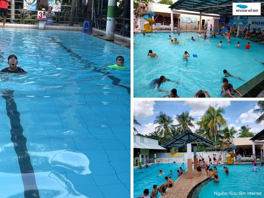 Top 7 hồ bơi Bến Tre sạch đẹp, giá tốt và tiện nghi Khung cảnh xanh mát của hồ bơi Thanh Trúc ở Bến Tre