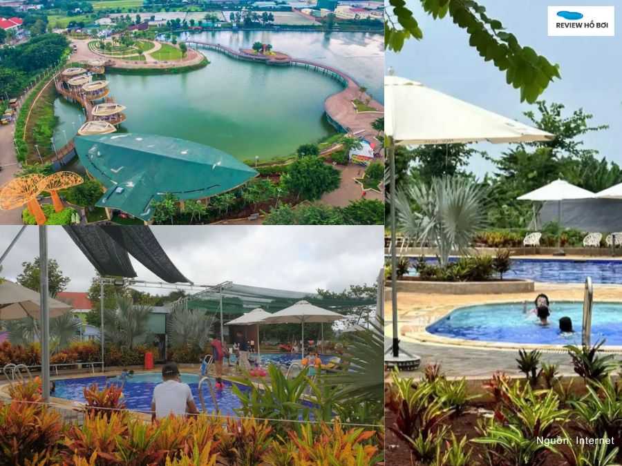 Hình ảnh hồ bơi công viên du lịch sinh thái Hóc Môn 