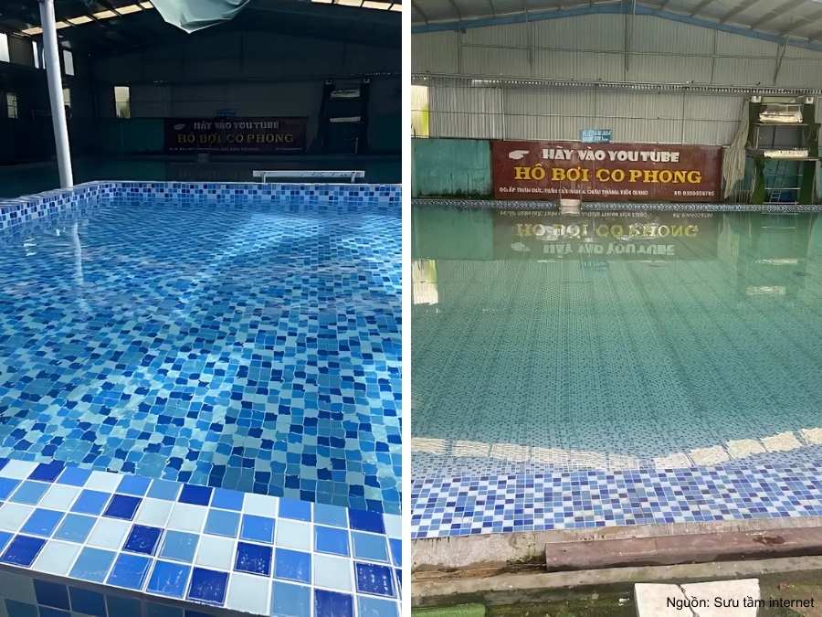 Danh sách 8 hồ bơi Tiền Giang sạch đẹp, đáng trải nghiệm Hồ bơi cô Phong sạch sẽ cho gia đình và trẻ nhỏ