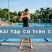 5 bai tap core tren can giup boi nhanh