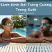 So Sánh Kính Bơi Tráng Gương Và Kính Bơi Trong Suốt