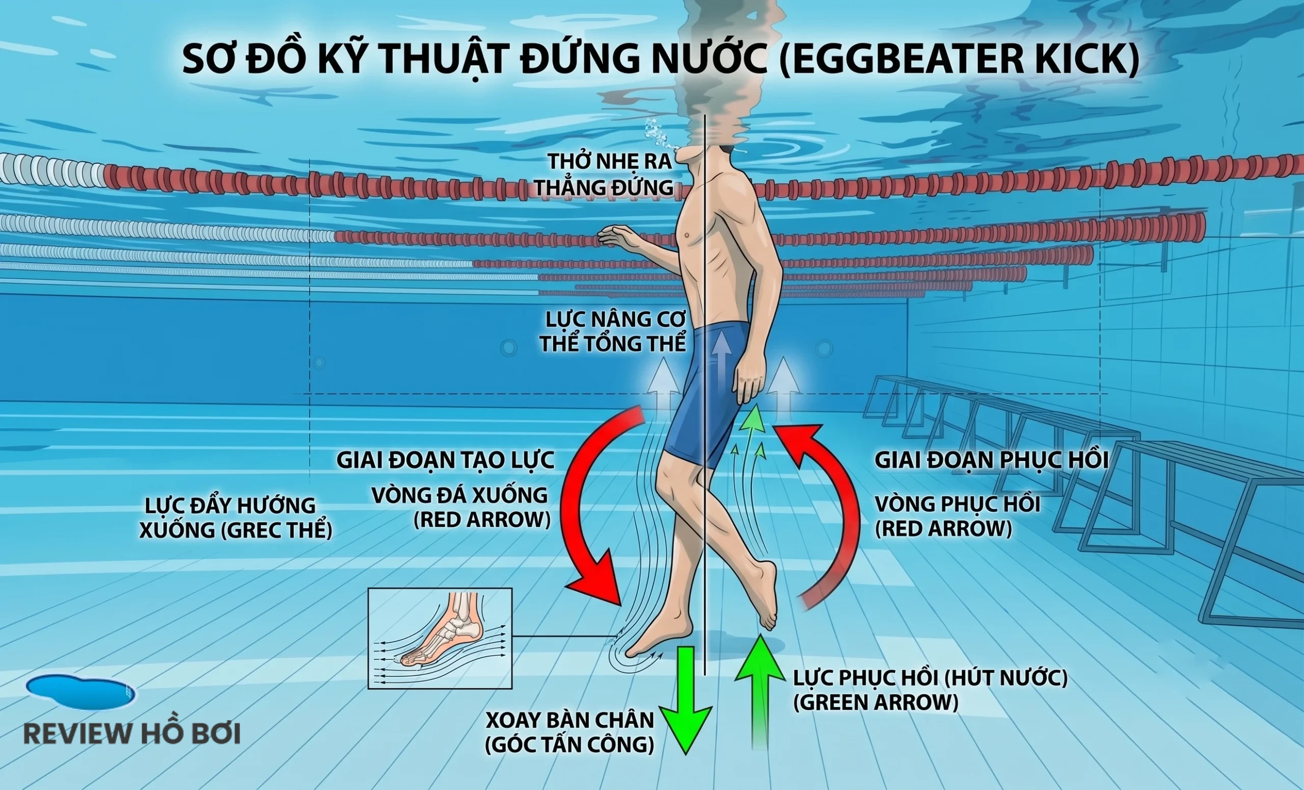 HƯỚNG DẪN KỸ THUẬT TẬP ĐỨNG NƯỚC: BÍ QUYẾT SINH TỒN VÀ TỰ TIN NƠI NƯỚC SÂU Tư thế cơ thể chuẩn xác